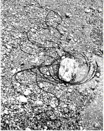 Georges JONIAUX (1932-1987)


Sans titre,...