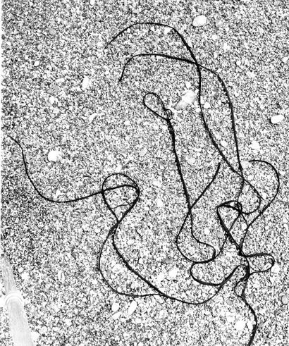 Georges JONIAUX (1932-1987)


Sans titre,...