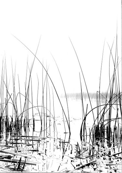 Georges JONIAUX (1932-1987)


Sans titre,...
