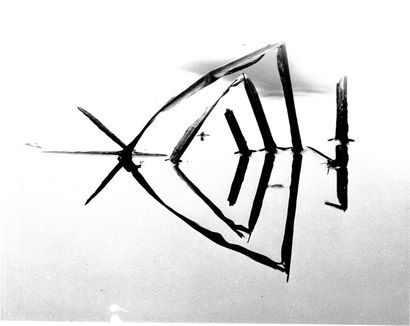 Georges JONIAUX (1932-1987) 

