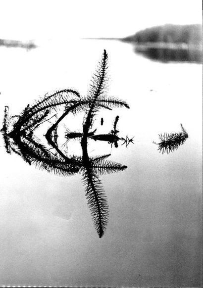 Georges JONIAUX (1932-1987)


Sans titre,...