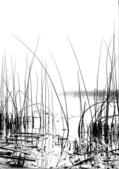 Georges JONIAUX (1932-1987)


Sans titre,...