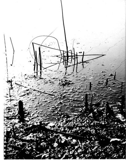 Georges JONIAUX (1932-1987)


Sans titre,...