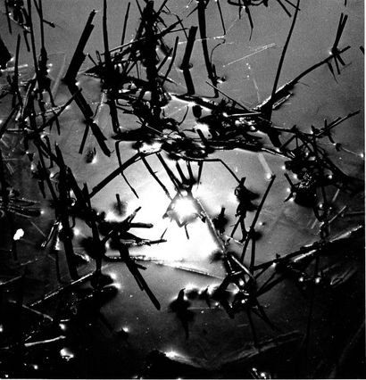 Georges JONIAUX (1932-1987)
Sans titre, roseaux....