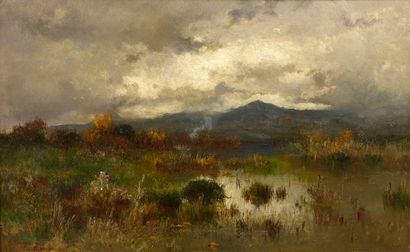 Pietro BARUCCI (1845-1917)


Paysage de campagne.

Huile...
