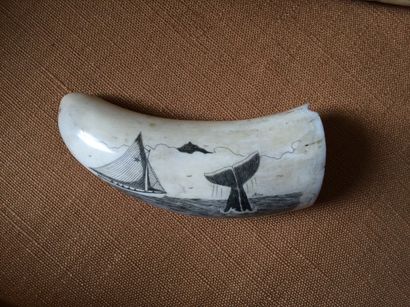 Scrimshaw. 

Dent de cachalot polie et gravée...