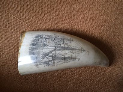 Scrimshaw en résine, à l'imitation d'une...