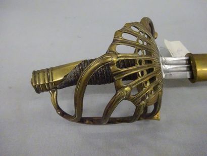 Sabre d'officier de dragon (composite).
Garde...