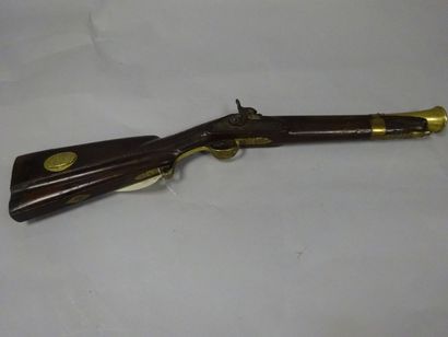 Espagne


Carabine à percussion.

Canon tromblonné...
