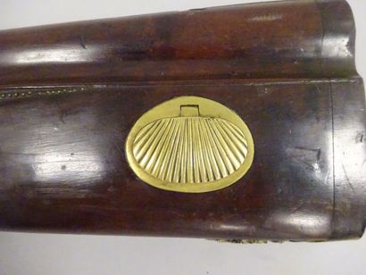 Espagne


Carabine à percussion.

Canon tromblonné...