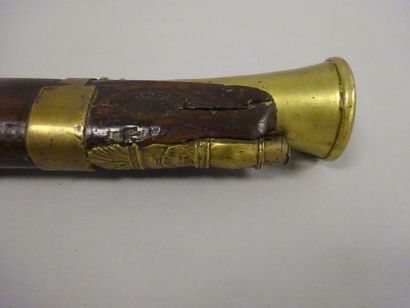 Espagne


Carabine à percussion.

Canon tromblonné...