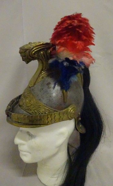 Casque de Dragon modèle 1873.

Petits ch...