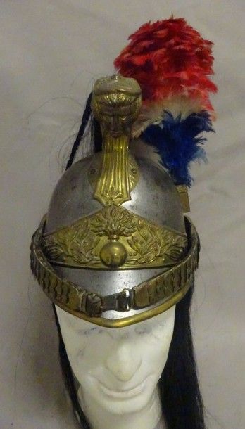 Casque de Dragon modèle 1873.

Petits ch...