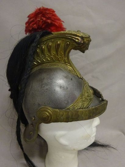 Casque de Dragon modèle 1873.

Petits ch...