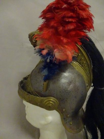 Casque de Dragon modèle 1873.

Petits ch...