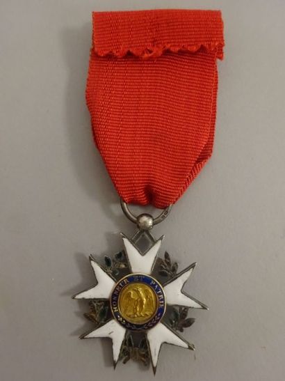 Ordre de la Légion d’honneur


Croix de chevalier,...