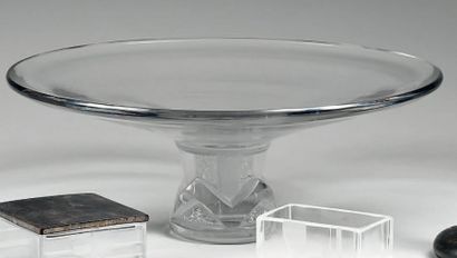 Aristide COLOTTE (1885-1959)
Coupe sur pied...