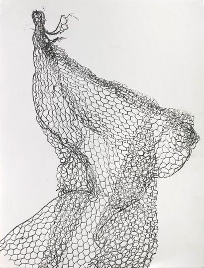 Bernard PAGES (1941)


Empreinte de grillage,...