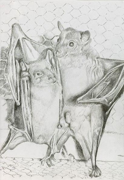 François PARIS (1975) 


Sans titre, 2014.

Graphite...