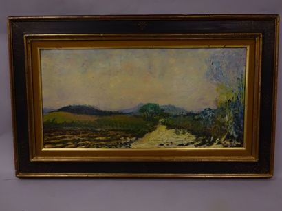 Ramon DILLEY (1932)


Paysage du côté sud...