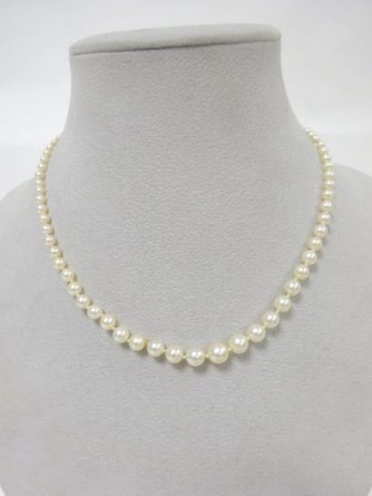 Collier de perles de culture blanches en...