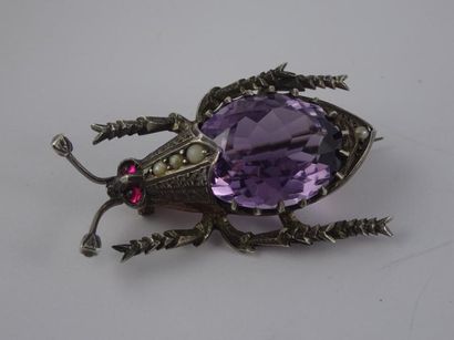 Broche insecte en argent (min 800), le corps...
