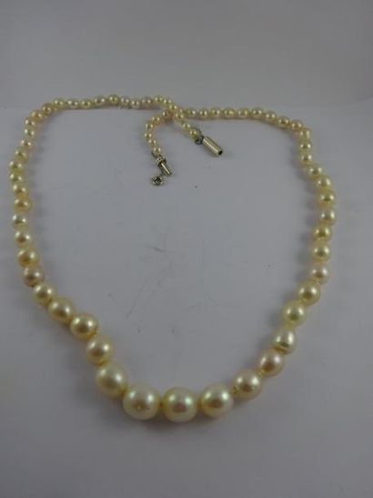 Collier de perles de culture blanches irrégulières...