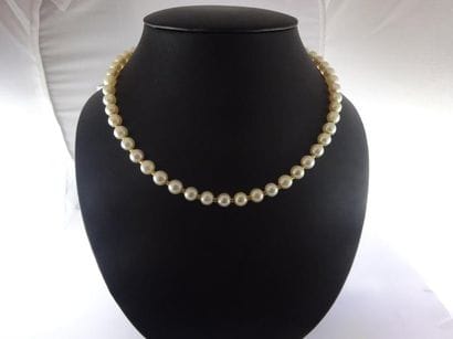 Collier choker de perles de culture blanches...