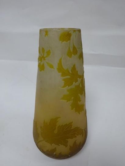 ÉTABLISSEMENTS GALLÉ


Vase fuselé, à fond...