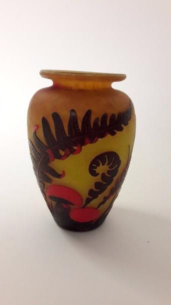 MULLER Frères à Lunéville


Petit vase ovoïde...