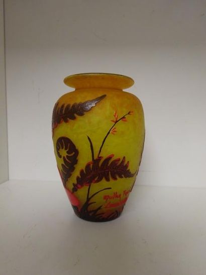MULLER Frères à Lunéville


Petit vase ovoïde...