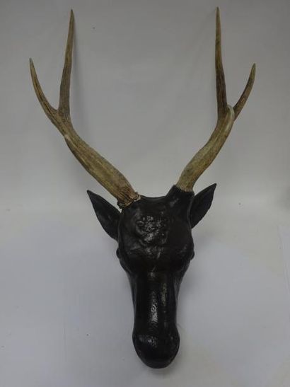 Tête de cerf en plâtre patiné et paire d'andouillers.

H...