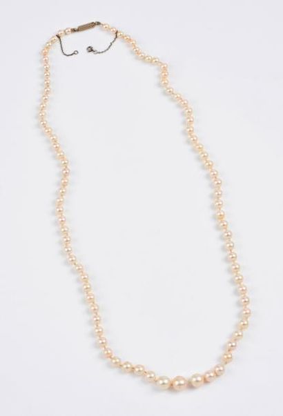 Collier de perles blanches de culture en...