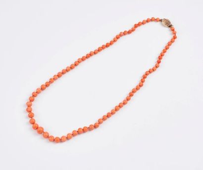 Collier de perles de corail baigné rose-orangé...