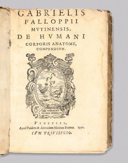 FALLOPII (Gabrielis)
De Morbo Gallico...
Venise,...