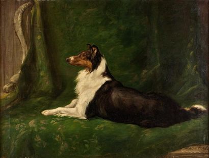 Maud EARL (1864-1943)
Colley allongé sur...