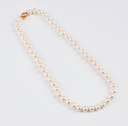Collier choker de perles de cultures blanches.

Fermoir...