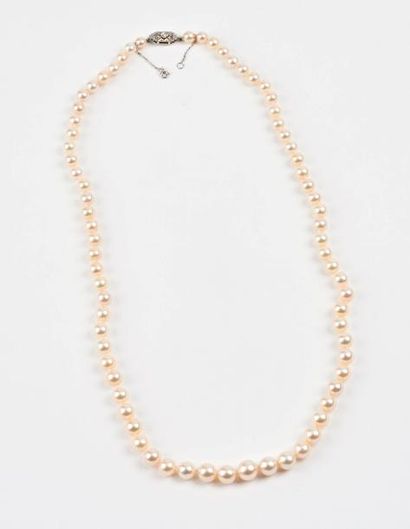 Collier de perles de culture blanches en...