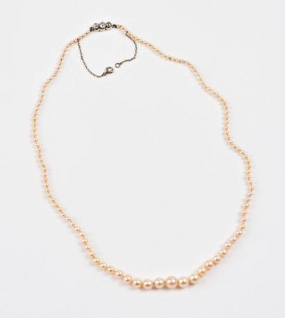 Collier de perles de culture blanches disposées...
