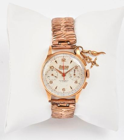 EXACTUS


Montre chronographe bracelet d'homme....