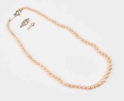 Collier de perles de culture blanches en...