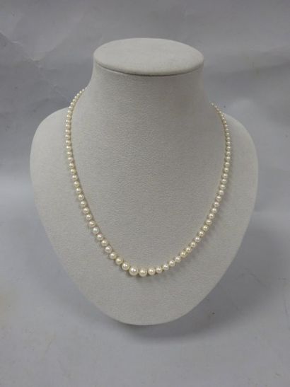 Collier de perles de culture blanches en...