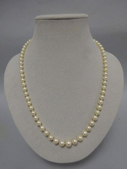 Collier de perles de culture en chute. Fermoir...