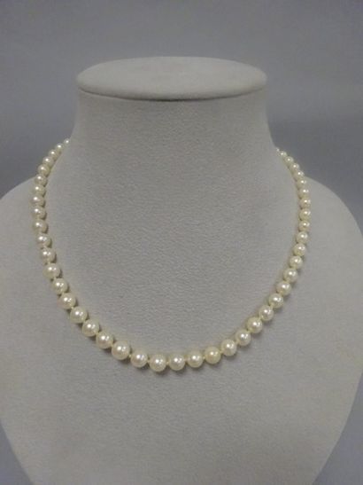 Collier de perles de culture blanches en...