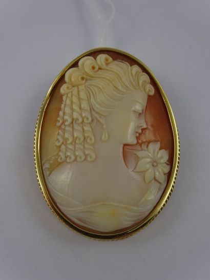 

Broche camée sur coquillage en or jaune...