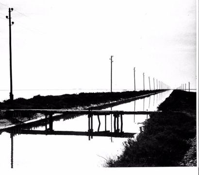 Georges JONIAUX (1932-1987)


Deux tirages...