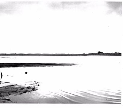 Georges JONIAUX (1932-1987)


Deux tirages...