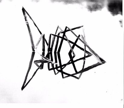 Georges JONIAUX (1932-1987)


Deux tirages...