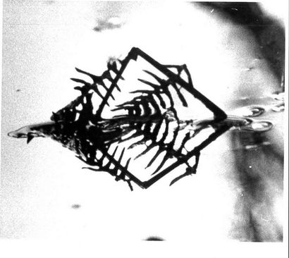 Georges JONIAUX (1932-1987)


