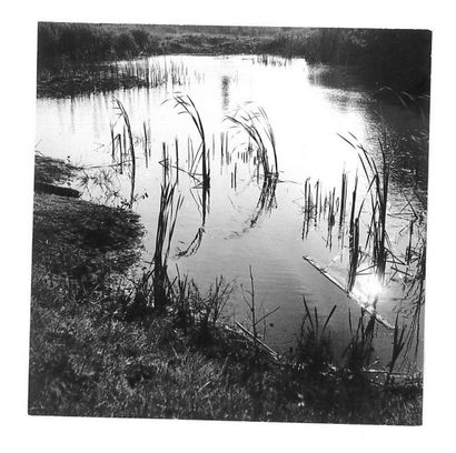 Georges JONIAUX (1932-1987)


Sologne.

Tirage...